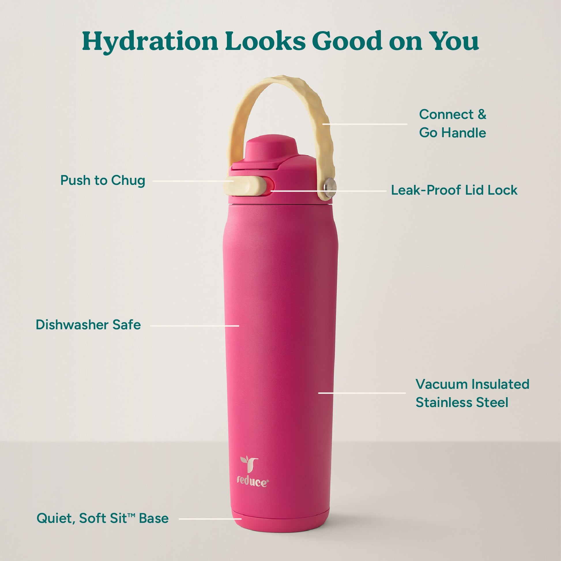 aura-26-oz-h7 Aura_26oz_DragonFruit_PDP_Infographic_2-03.jpg