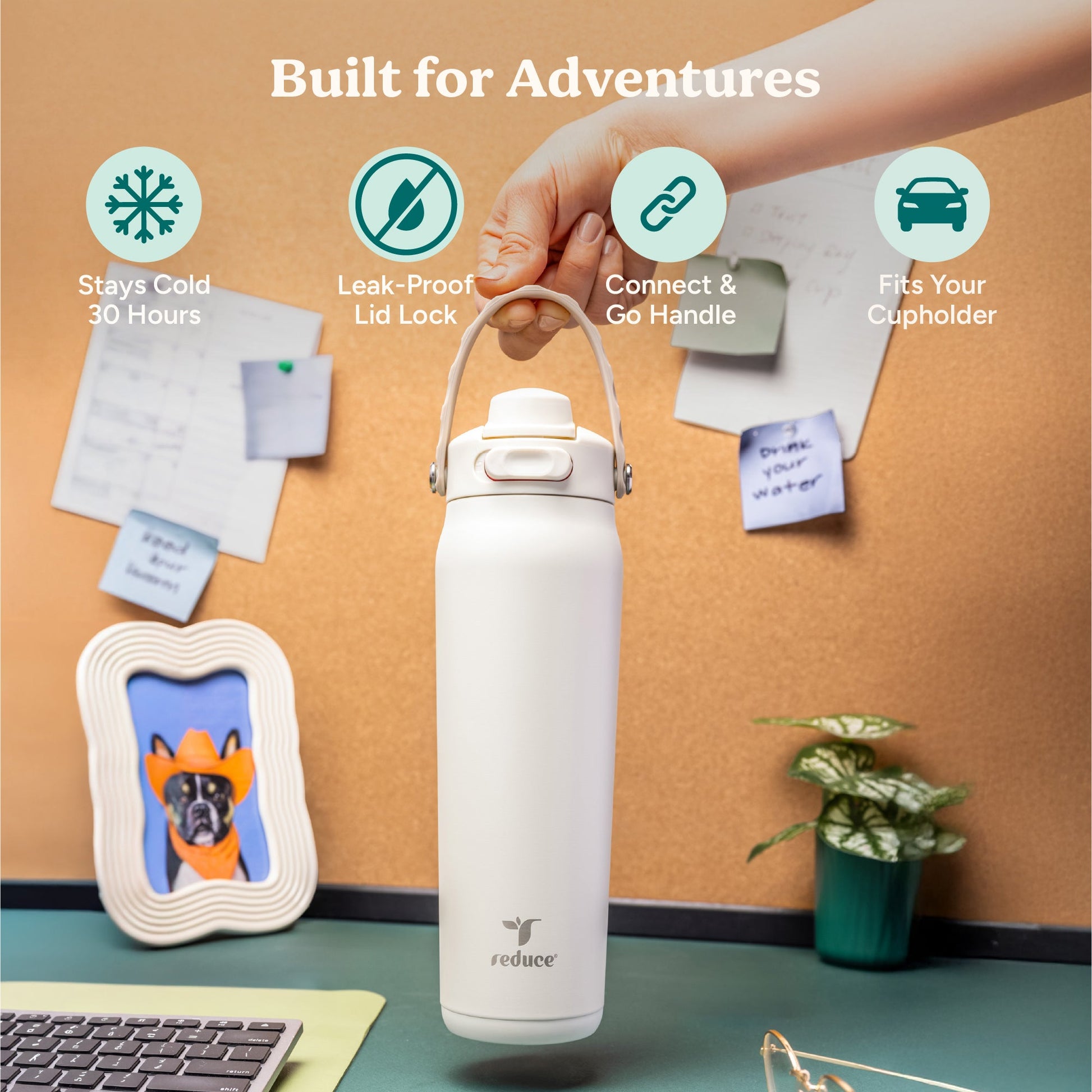 aura-26-oz-h7 Aura_26oz_Unbleached_PDP_Infographic_1.jpg