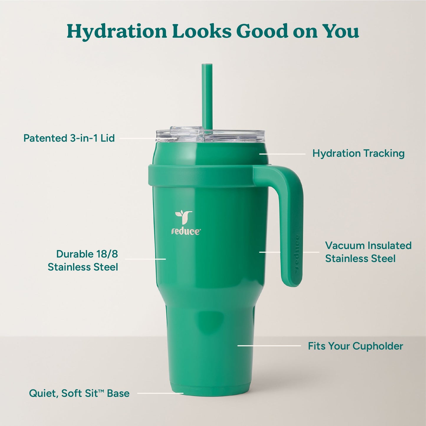cold1-40-oz-j0 Cold1_40oz_PalmLeaf_Infographic_2.jpg