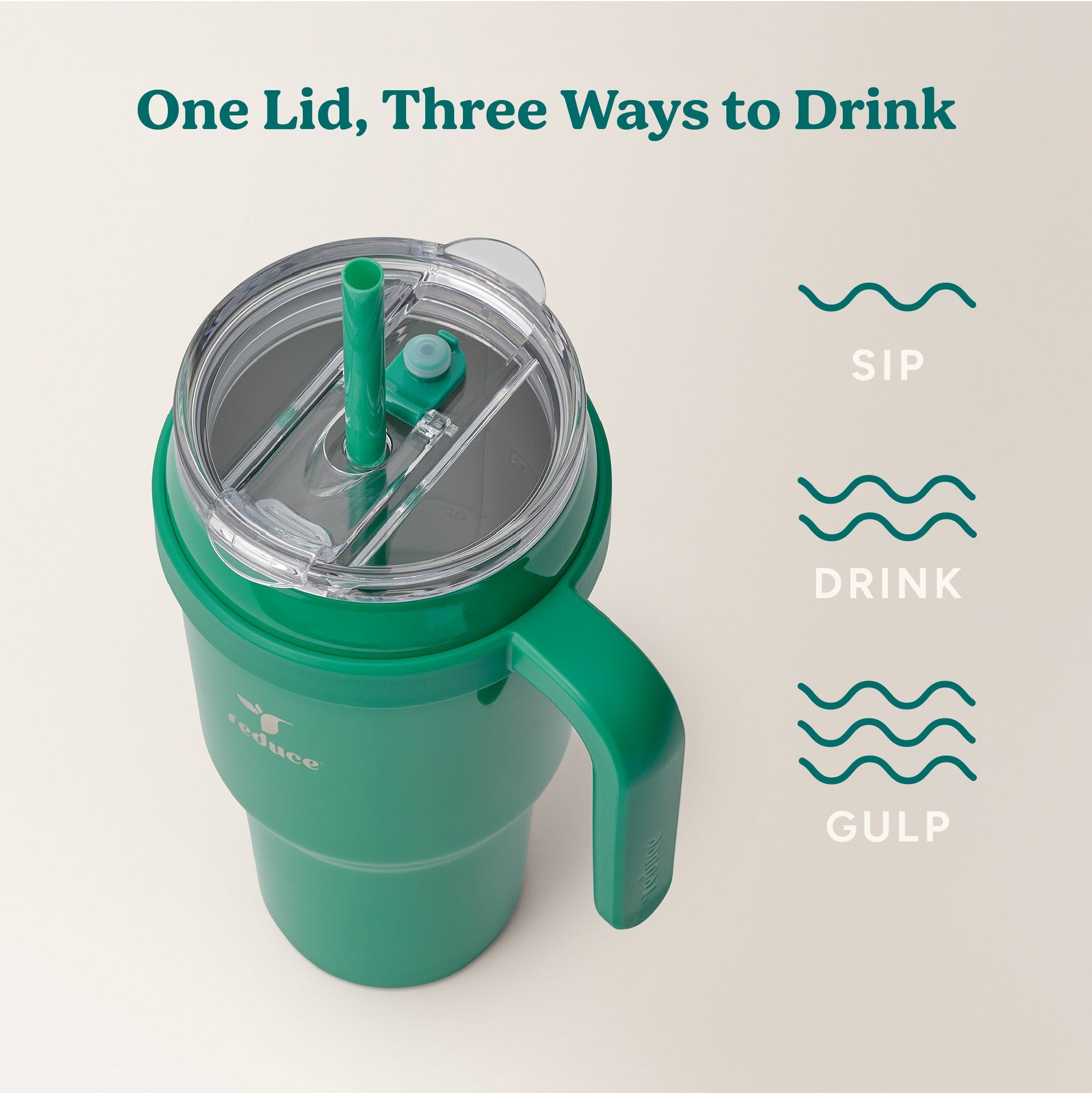 cold1-40-oz-j0 Cold1_40oz_PalmLeaf_Infographic_3.jpg