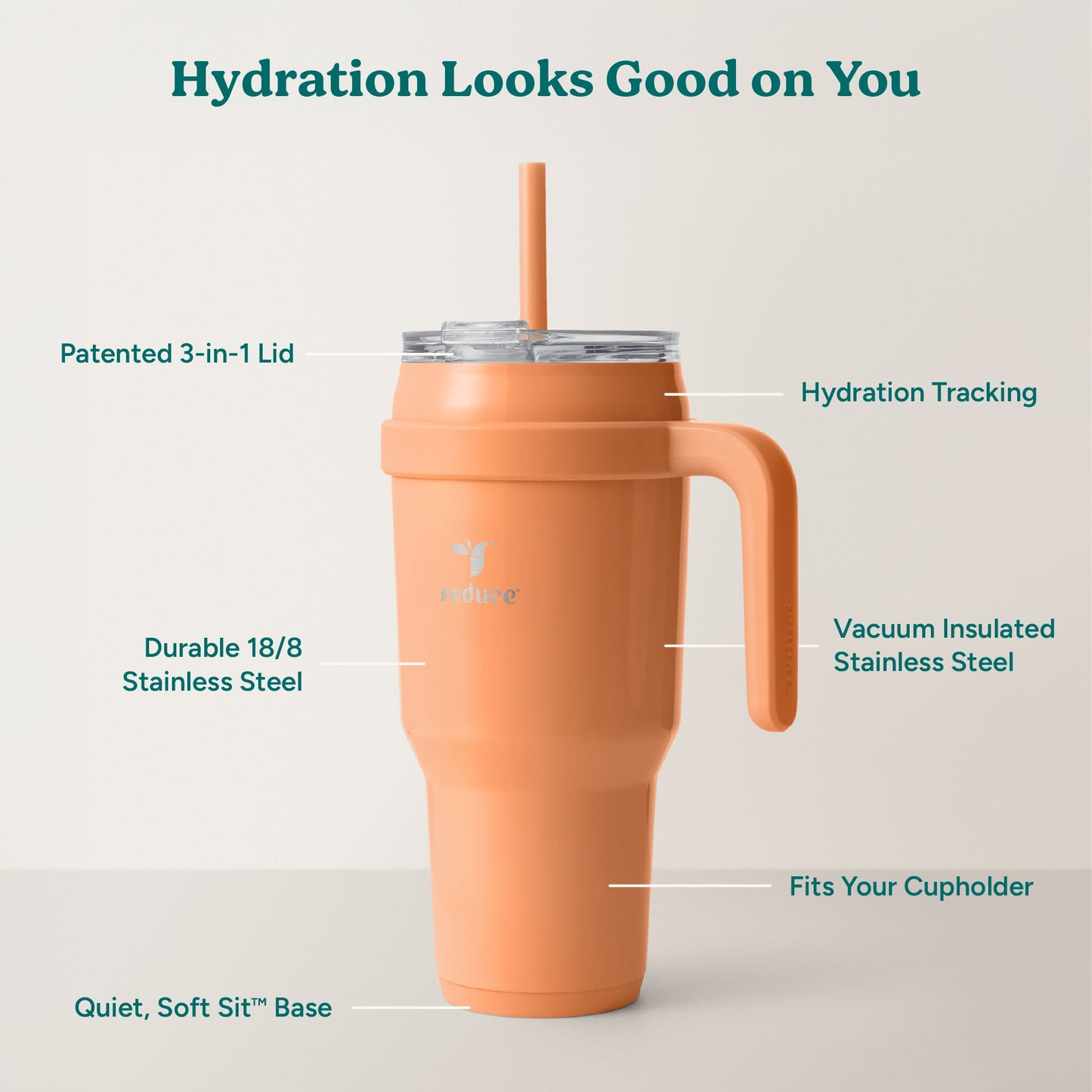 cold1-40-oz-j0 Cold1_40oz_Papaya_Infographic_2.jpg
