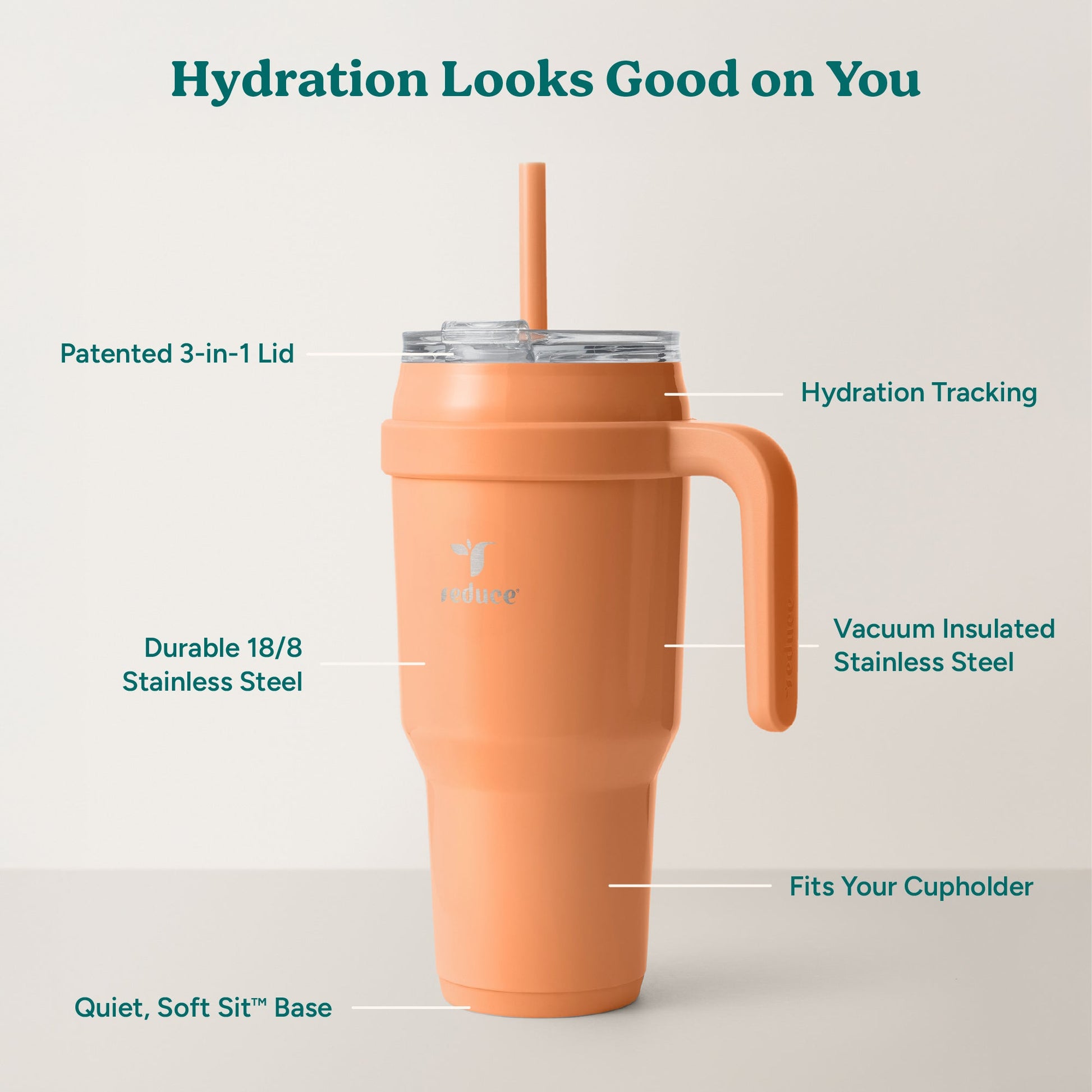 cold1-40-oz-j0 Cold1_40oz_Papaya_Infographic_2.jpg